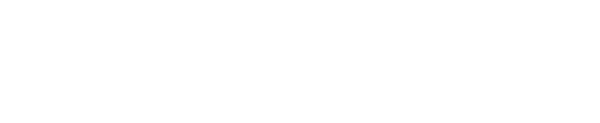 Logo blanc de BREIZH-e-VIN