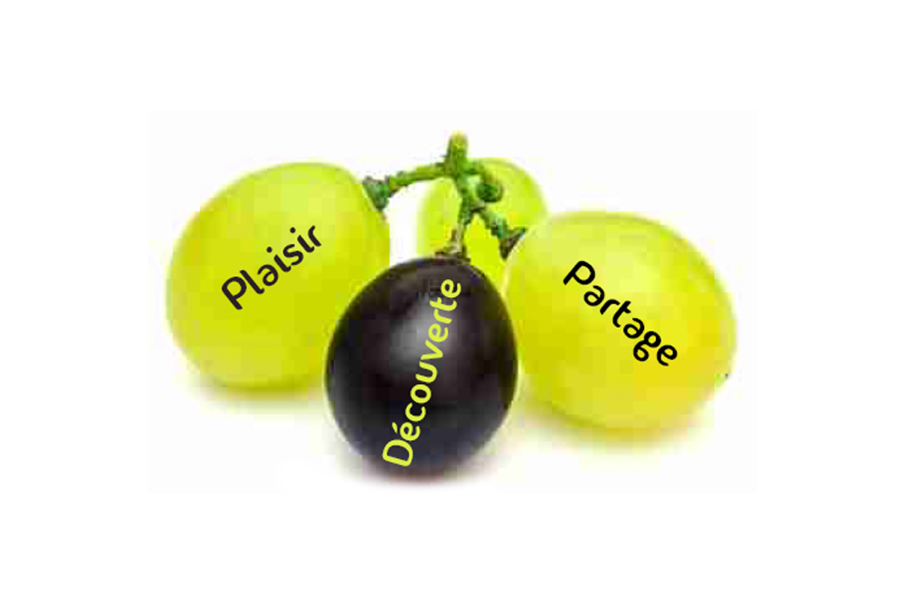 Photo d'une grappe de 3 raisins avec les mots plaisir partage et découverte qui caractérisent BREIZH-e-VIN