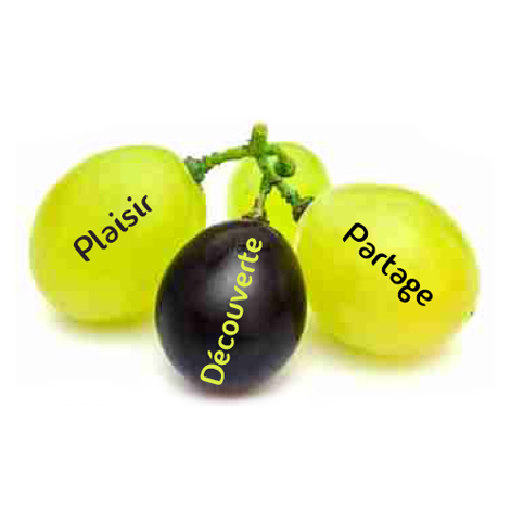 Photo d'une grappe de 3 raisins avec les mots plaisir partage et découverte qui caractérisent BREIZH-e-VIN